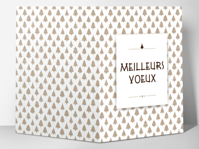 Carte 105 x 15 cm modèle 049