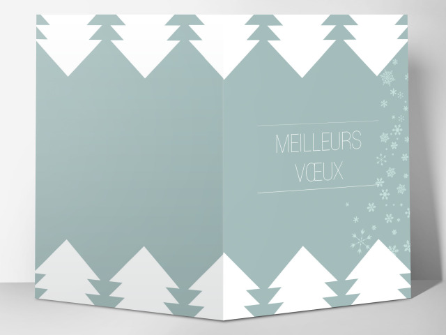 Carte 105 x 15 cm modèle 056